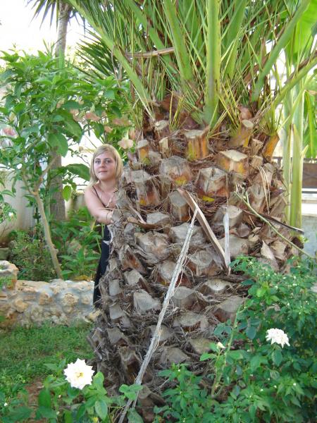 italie 2006