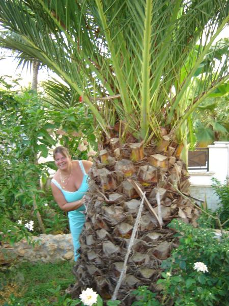 italie 2006