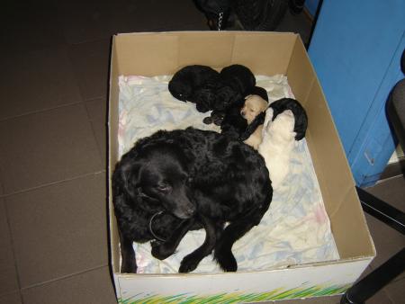 Bon d'accors c'est pas mais bébés mais les siens lol !!!
