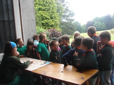 scoutes